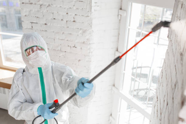 Best Environmental Consulting for Mold Prevention  in Seaside, CA