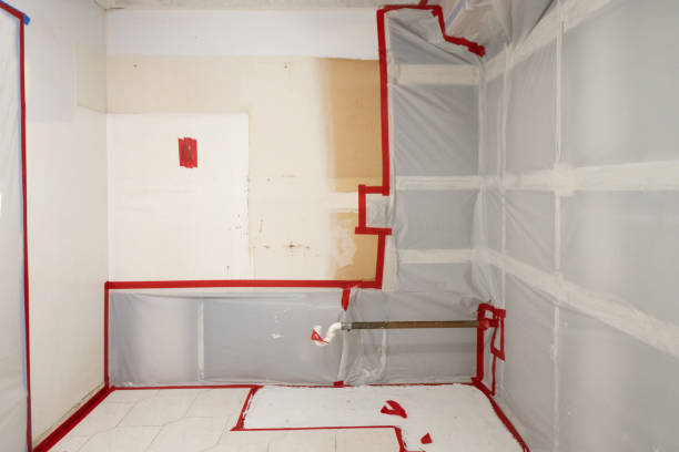 Biohazard Mold Removal in Seaside, CA