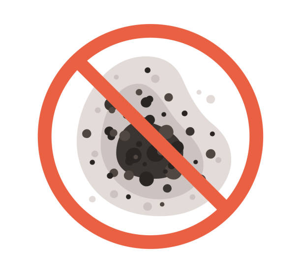 Best Mold Remediation for Healthcare Facilities  in Seaside, CA