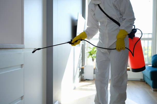 Best Mold Removal for HVAC Installations  in Seaside, CA