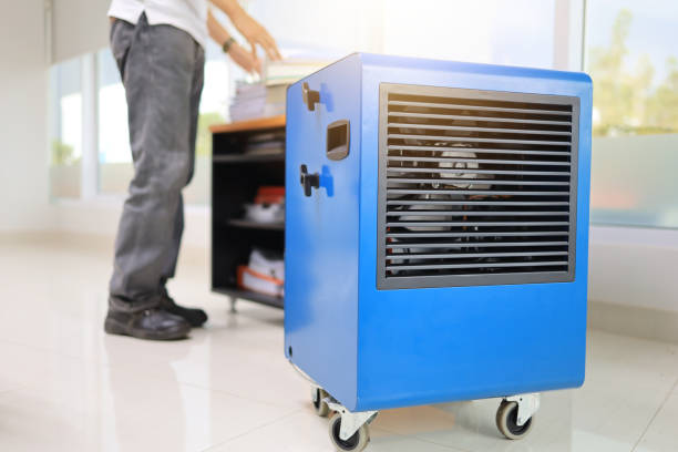 Best Industrial Mold Remediation  in Seaside, CA