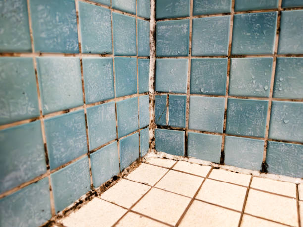 Best Real Estate Mold Inspection  in Seaside, CA